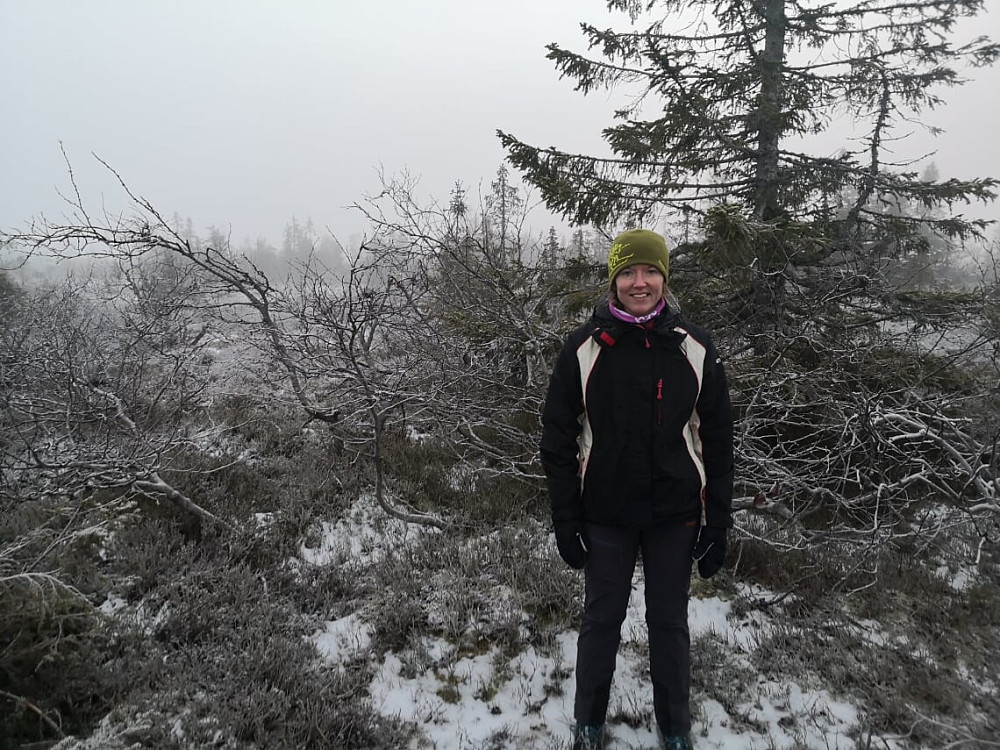 På Stenfjellet