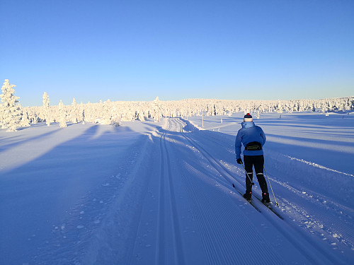 På veg oppover mot Stenfjellet