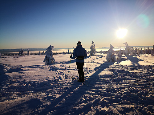 På Svaen