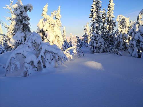 Mot Nordhue frå Kollmyrkampen