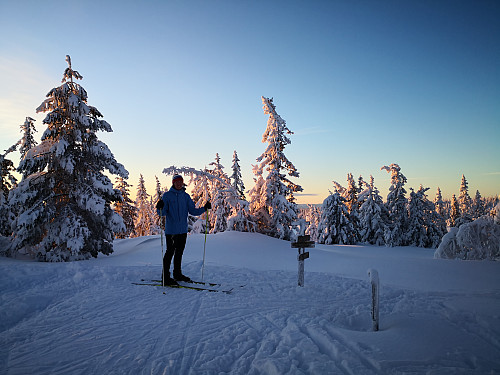 På Appelsinhaugen
