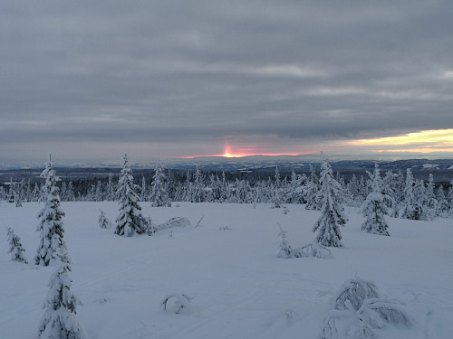 Utsikt frå Stenfjellhytta