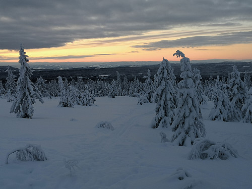 Utsikt frå Stenfjellhytta