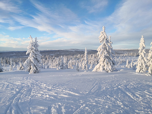 Brumundkampen frå Målifjellet
