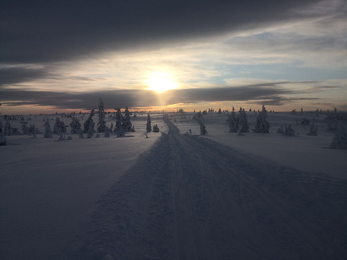 Attende mot Målifjellet