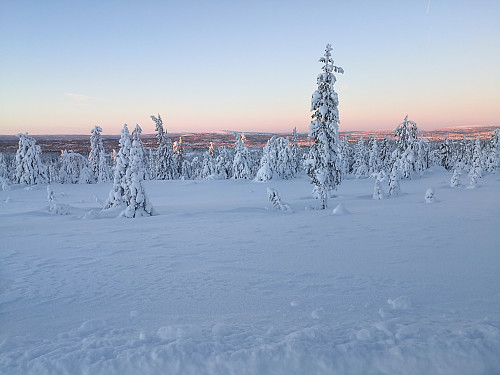 Mot Brumundkampen, frå nedunder Kollmyrkampen