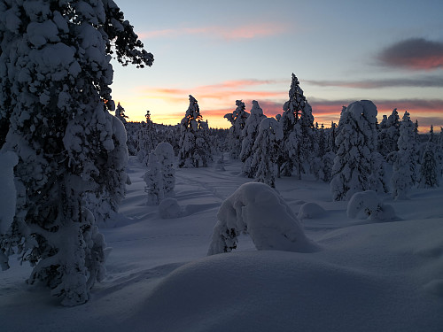 På Hestfjellet