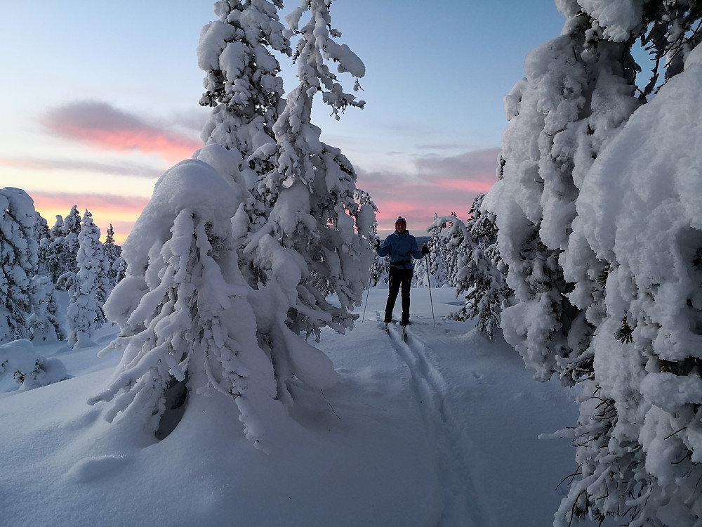 På Hestfjellet