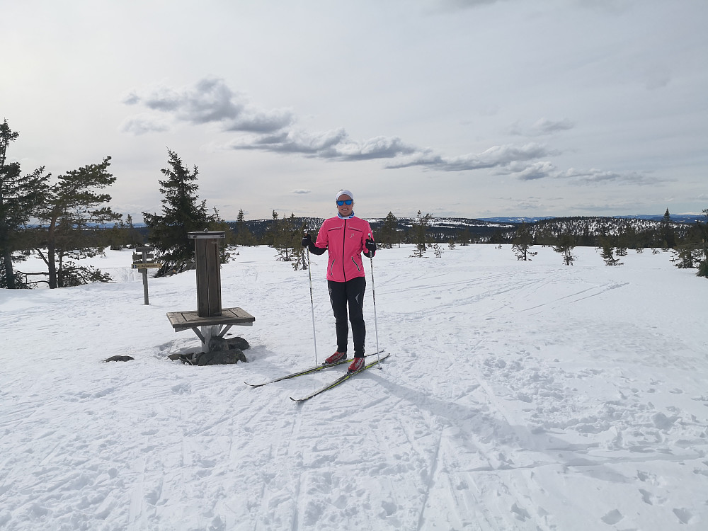 På Svaen