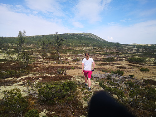 På veg til Veslfjellet (ikkje eit svart hol som vi så vidt unngjekk, men ein finger i vegen for linsa...)