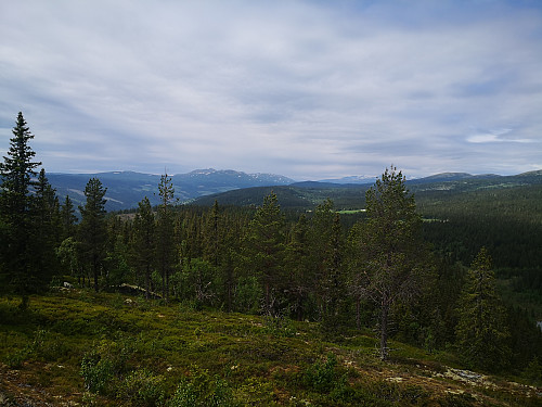 Utsikt nordvestover frå Åborsjøkampen, mot Gråhøå i Nord-Fron