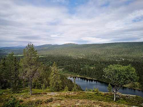 Ned mot Nørdre Åborsjøen frå Åborsjøkampen