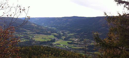 Utover Forset og Auggedalen