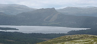 hansi_feforkampen_fra_valesfjellet.jpg