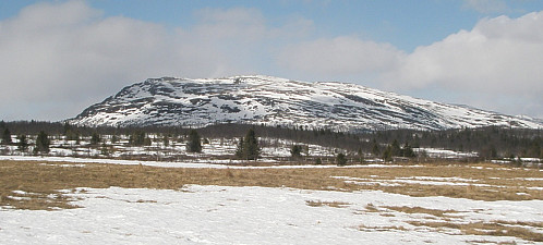 Ongsjøfjellet tidlig på turen