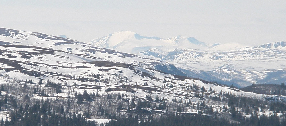 Tjønnholstind og Høgdebråtet