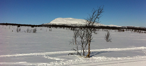 Ongsjøfjellet