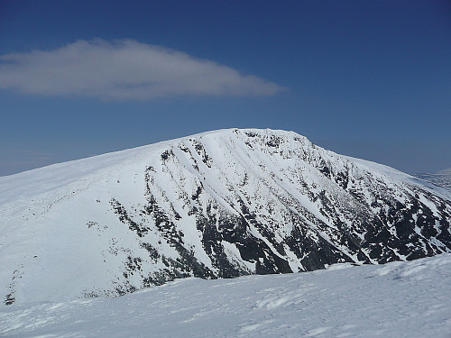 Loftet