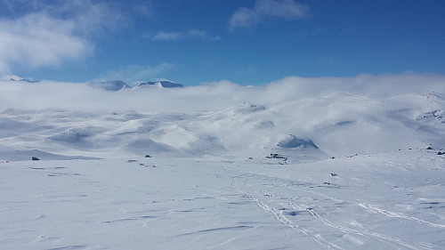 Fanaråken og Steindalsnåsi stikker opp av tåkehavet.