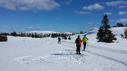 Fra der løypa går over Gjestbodåsen