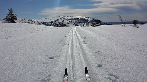 Fine forhold i dag. Skeikampen i bakgrunnen.