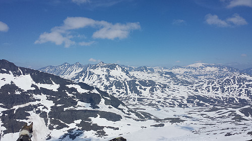 Ikke noe å si på utsikten mot Hellstuguryggen, Semmeltind og Surtningsue. Det begynner å bli mindre snø i sørhellingene.