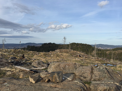 Viksberget.