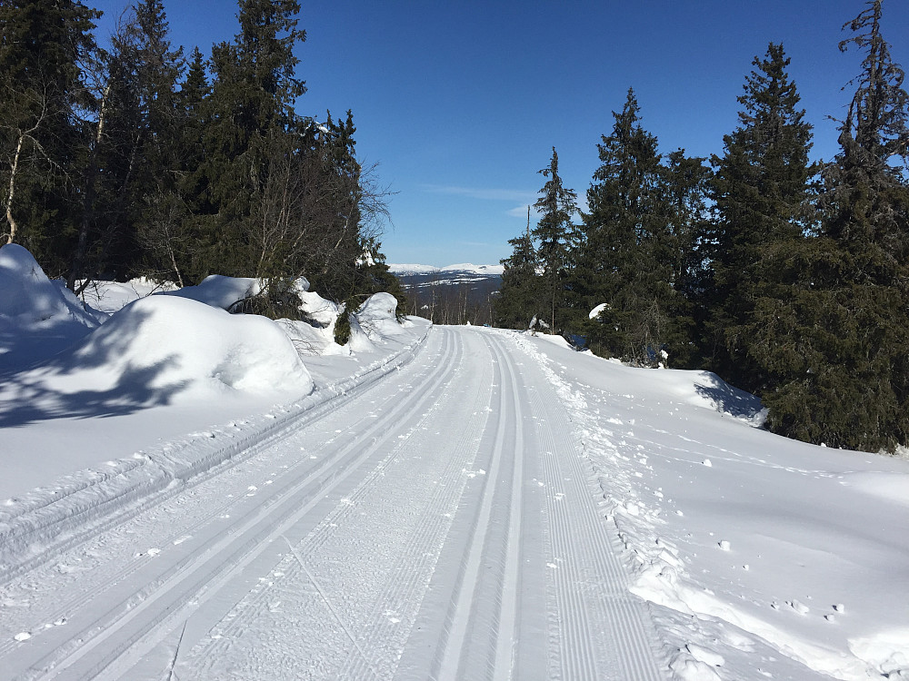 Flott i løypene rundt om Djupådalen.