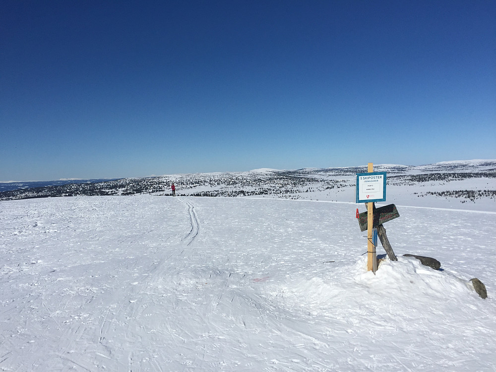Snørvillen.
