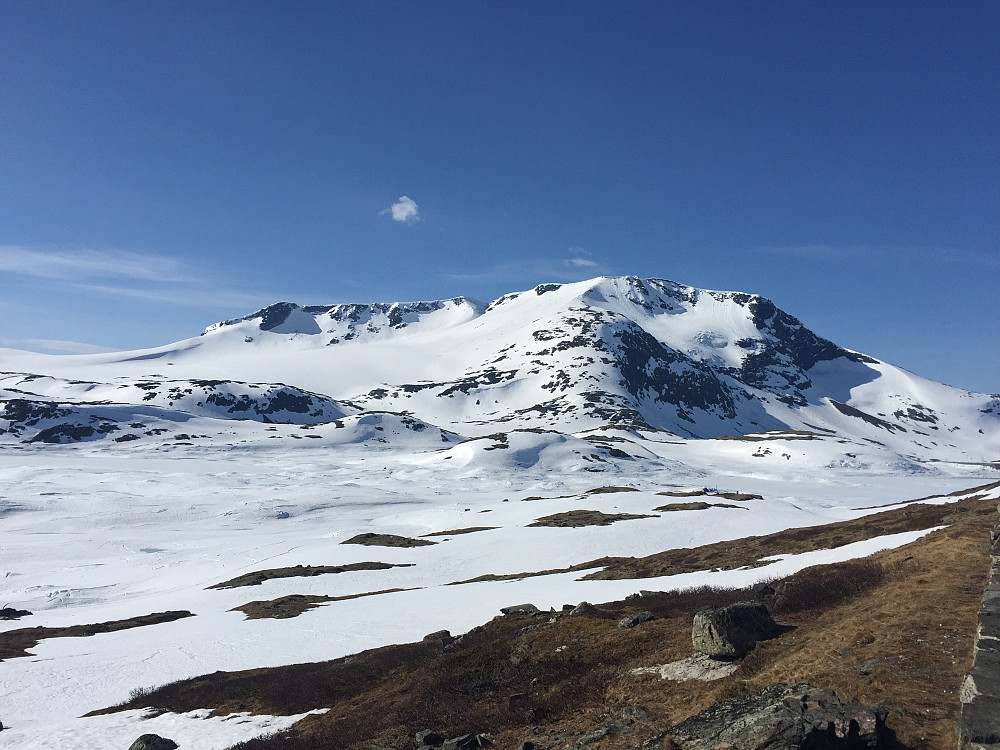 Fanaråken og Steindalsnosi!