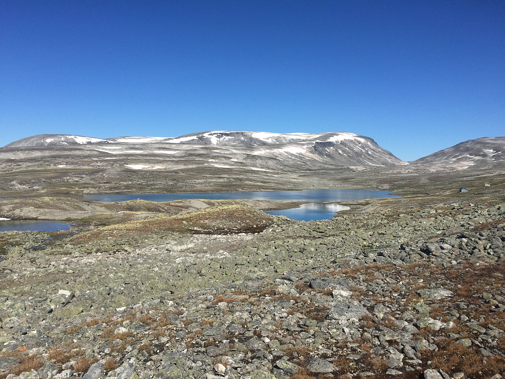 Nedre Mølmsvatnet og Svarthøi.