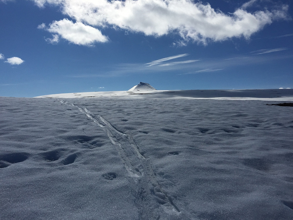 Mye tung snø og gå i og karl Bayerfjellet. Smart av de som har vært der før oss med ski.