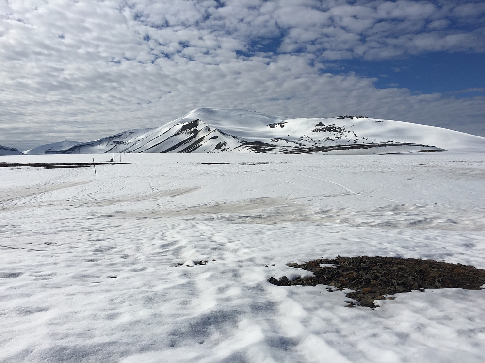 Lange flater i tung råtten snø ved Platåfjellet. Gikk opp ryggen til venstre i bildet til toppen.