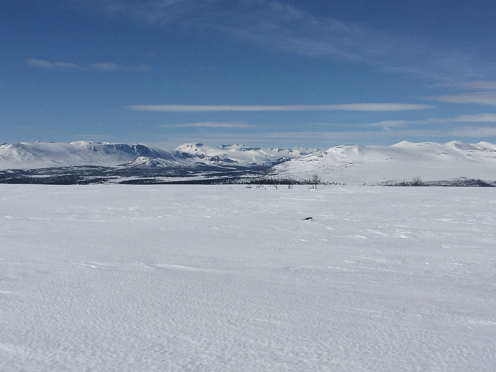 Flott skue mot Jotunheimen - Besshøe litt til venstre for midten med Surtnigsue bak til høyre. Nautgardstind og Stornubber til høyre i bilde.