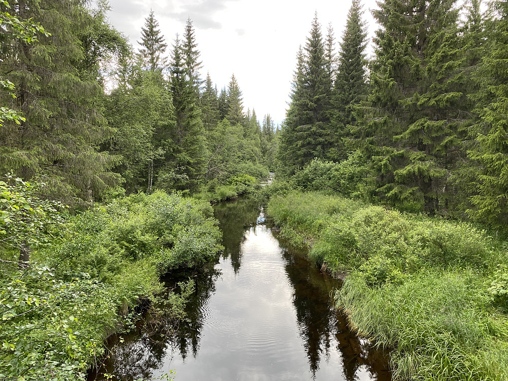Ødegårdsdammen