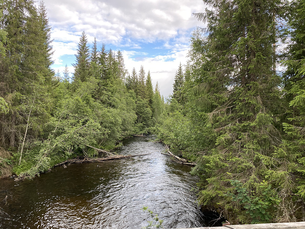 Ødegårdsdammen