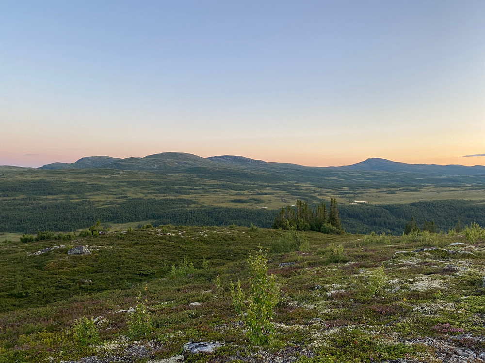 Flott kveld på Storhaugen