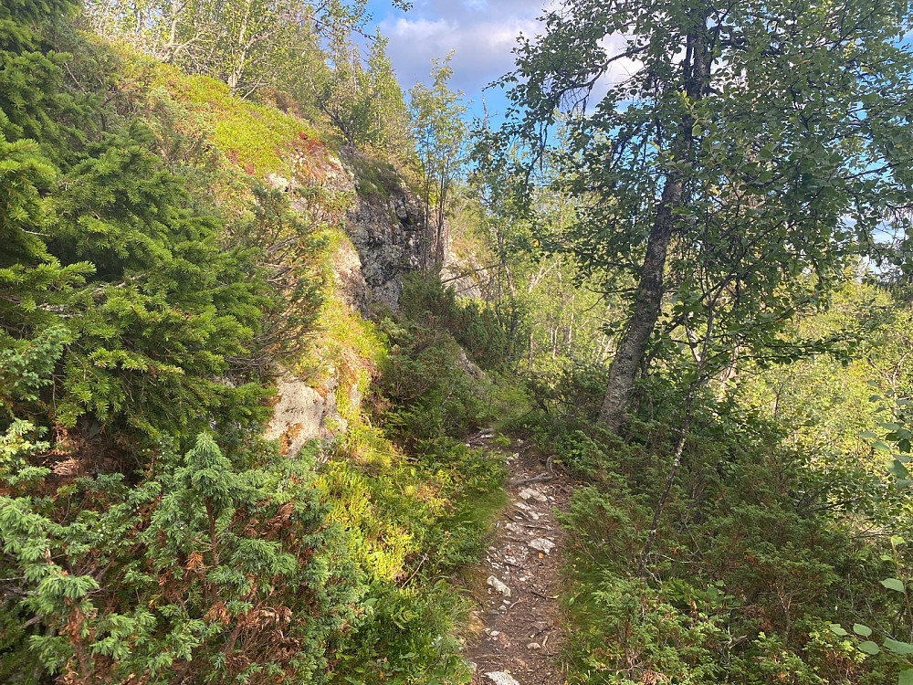 Fin råk mot toppen av Sekken