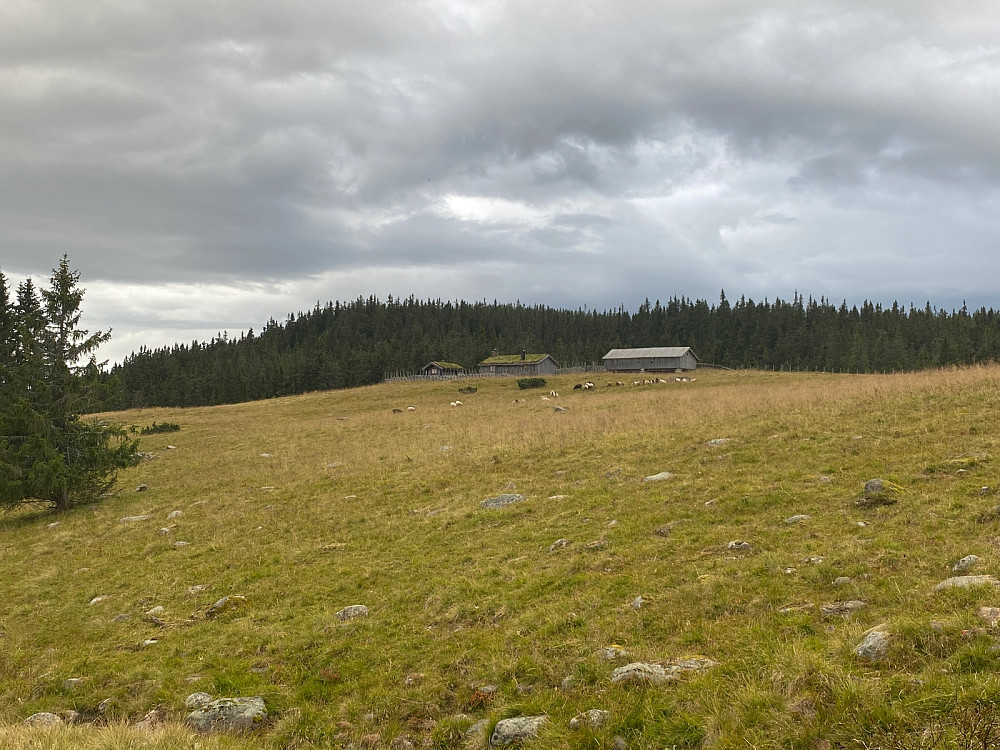 Grøtåsen