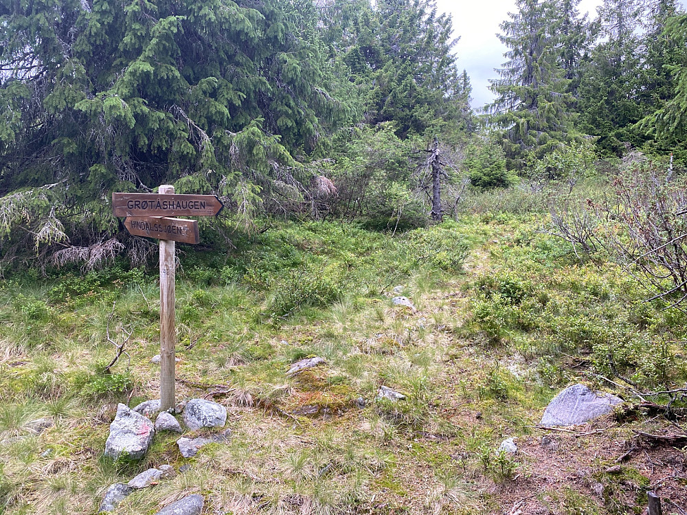 Stidele mot Grøtåshaugen