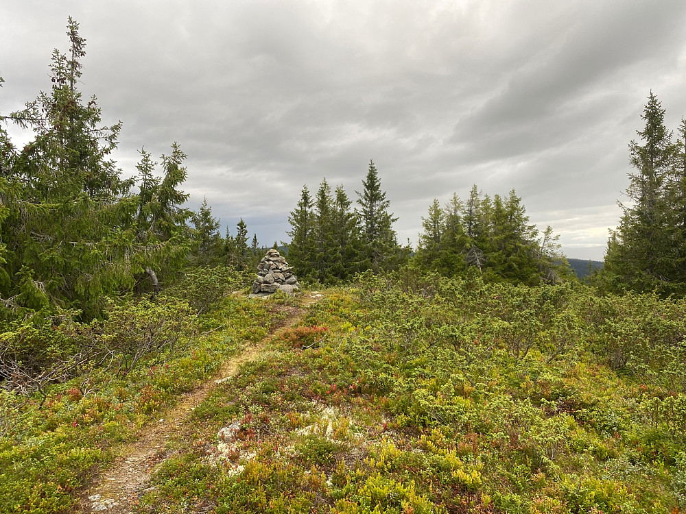 Toppen av Grøtåshaugen