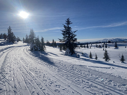 Flott ute i løypene i dag