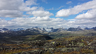 jony_2014-08-10_13.42.09.jpg