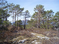 jony_p4270019.jpg