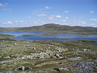 jony_p7230147.jpg