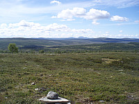 Utsikt fra Skardtjønnhøgda. I bakgrunnen ses Rundemellen og Skarvemellen.