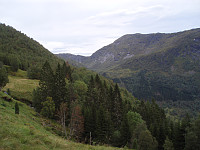 jony_p9080043.jpg
