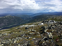 oystela_20170801_5980429c07c32.jpg