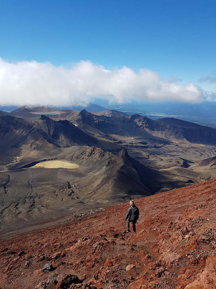 På vei ned fra Mt Ngaurahoe (Mt.Doom)