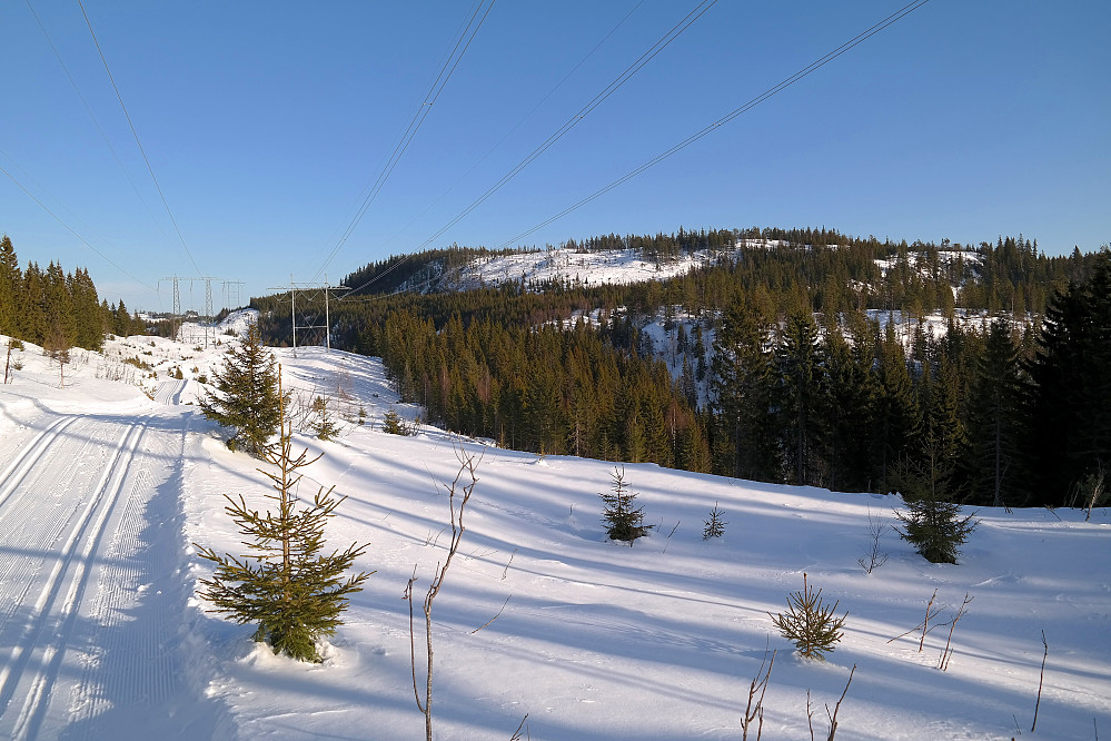 07.02.2015 - I skiløypa under høyspentlinja, med kurs for Rognkleivåsen (600), som ses i bakgrunnen. Jeg gikk opp det store hogstfeltet oppunder toppområdet.